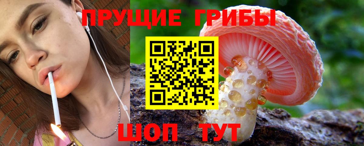 Галлюциногенные грибы Cubensis  Вход с VPN  Феодосия 